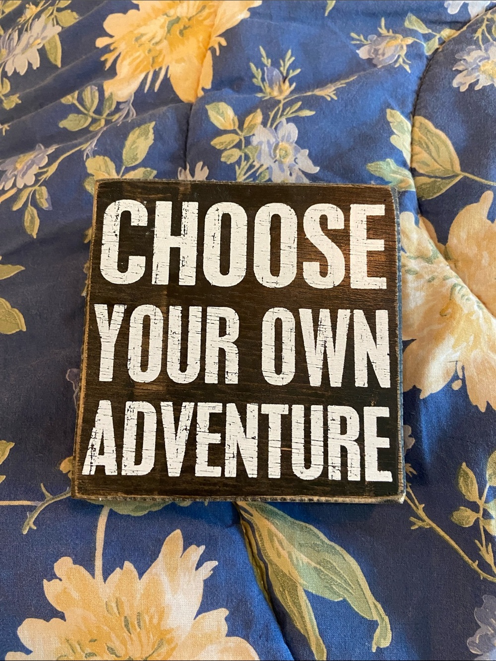 Choose Your Own Adventure Rustic Brown Wall Plaque by